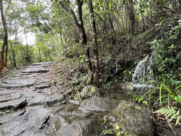 茅坪古道(來源:綠惜地球官網)