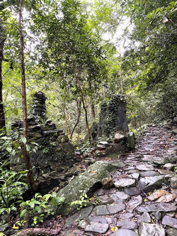 茅坪古道(來源:綠惜地球官網)
