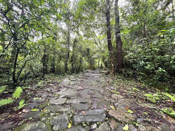 茅坪古道(來源:綠惜地球官網)