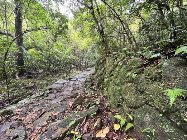 茅坪古道(來源:綠惜地球官網)