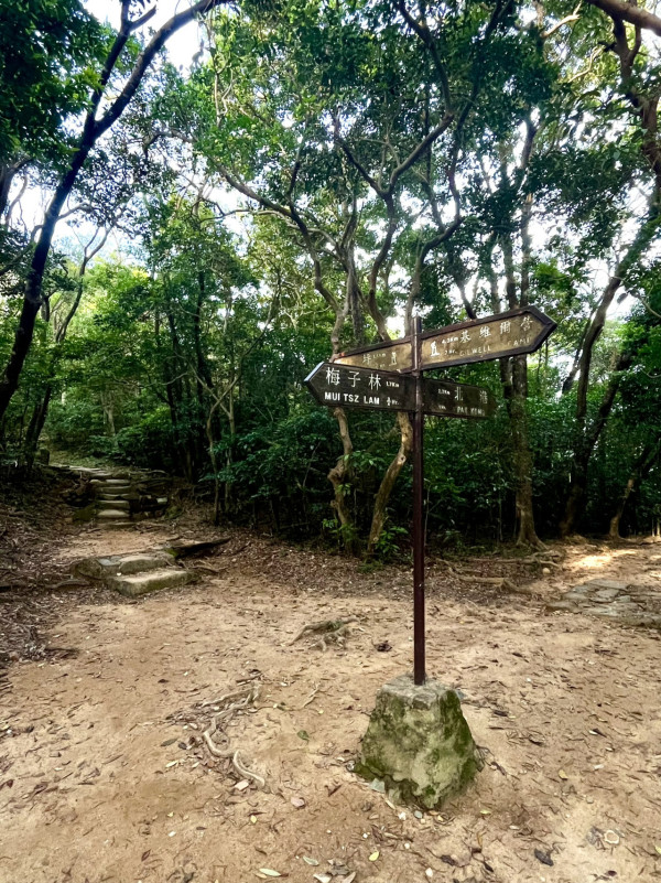 茅坪古道(來源:綠惜地球官網)