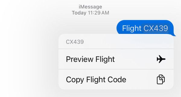 iPhone隱藏「搭機神招」免下載App!一秒即時追蹤登機門、行李轉盤