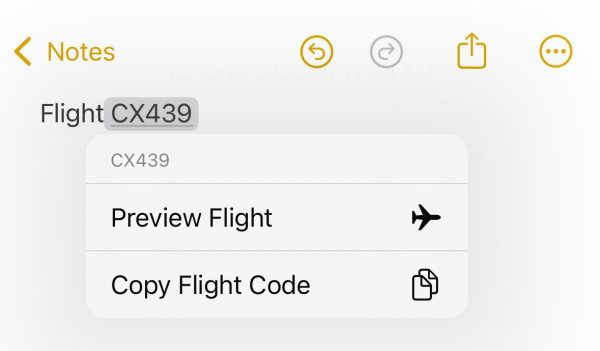iPhone隱藏「搭機神招」免下載App!一秒即時追蹤登機門、行李轉盤