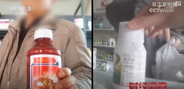 內地蔬菜食安｜ 央視揭內地農戶私買濫用禁售劇毒農藥 薯仔/蒜芯成重災區 毒性穿透菜心洗唔走