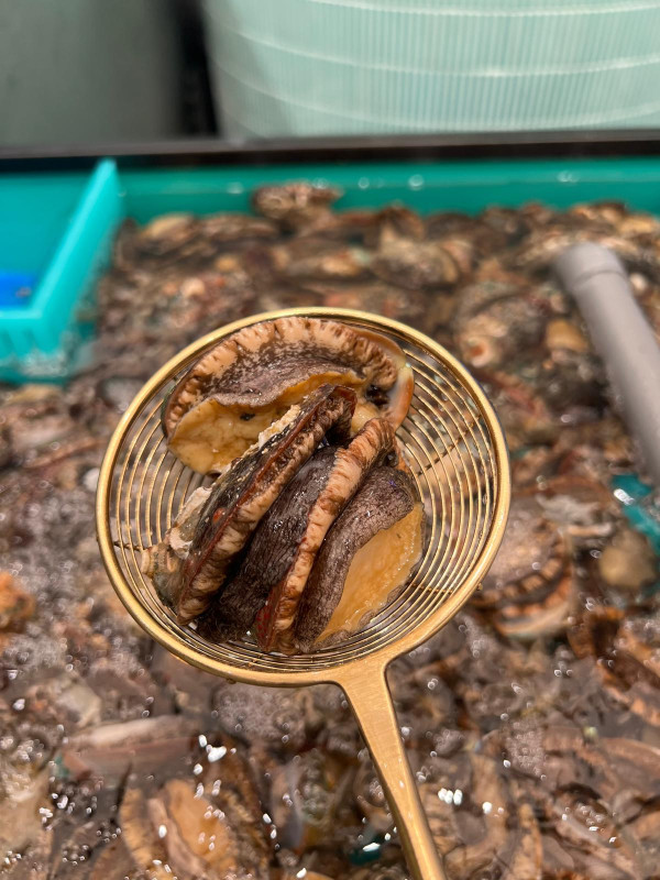 銅鑼灣H&M巨舖一拆三！內地女裝擲200萬租2層 龍豐/火鍋店接手