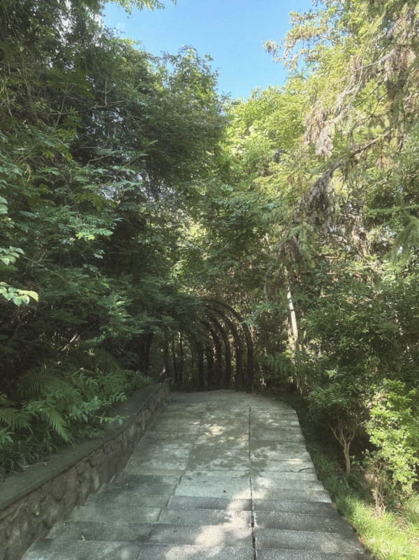 父親節北上好去處｜深圳5大不同風格景點推介！行山、歷史Citywalk、逛古鎮吃客家菜 