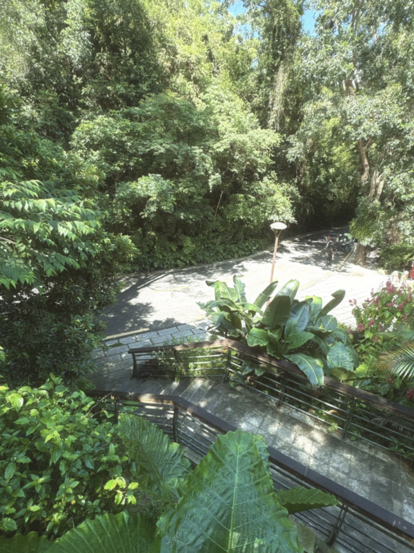 父親節北上好去處｜深圳5大不同風格景點推介！行山、歷史Citywalk、逛古鎮吃客家菜 