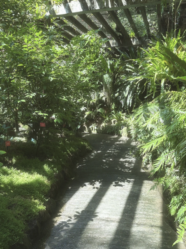 父親節北上好去處｜深圳5大不同風格景點推介！行山、歷史Citywalk、逛古鎮吃客家菜 