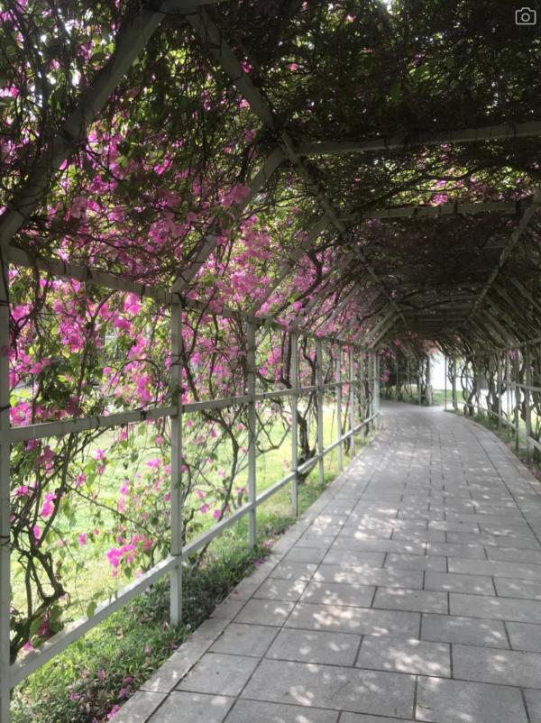 父親節北上好去處｜深圳5大不同風格景點推介！行山、歷史Citywalk、逛古鎮吃客家菜 
