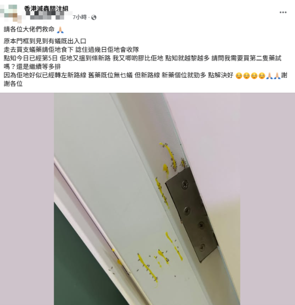 滅蟻|放蟻藥近一周反而越來越多蟻?苦主崩潰求助 網民揭滅蟻盲點:OOO先斷尾!附4大熱門滅蟻藥評測