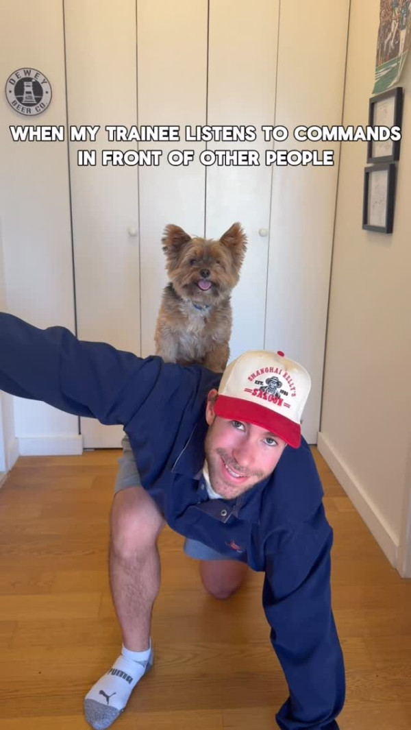 工程師兼職遛狗 成立公司日遛10至20隻狗。圖片來源：IG@goodhartdogwalks