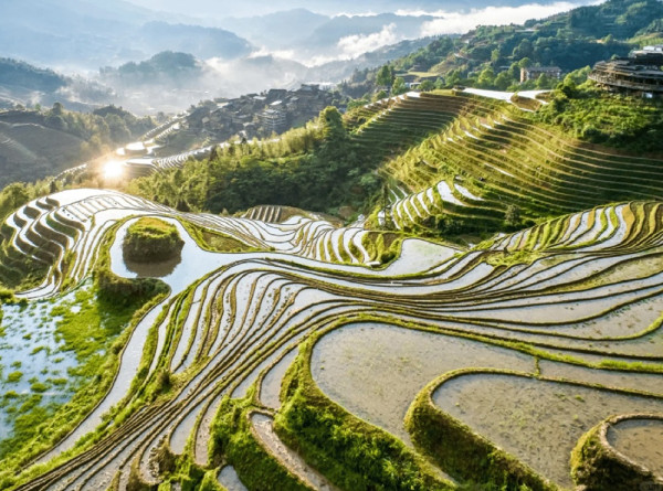 大航假期顛覆傳統旅行團想像 用高鐵專列明星飯局遊中國 