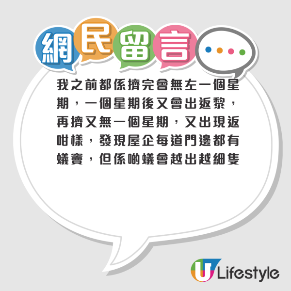 滅蟻｜放蟻藥近一周反而越來越多蟻？苦主崩潰求助 網民揭滅蟻盲點：ＯＯＯ先斷尾！附4大熱門滅蟻藥評測