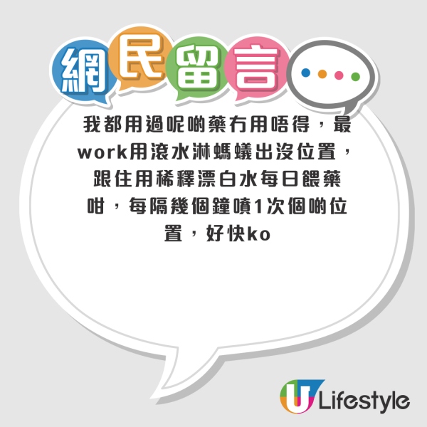 滅蟻｜放蟻藥近一周反而越來越多蟻？苦主崩潰求助 網民揭滅蟻盲點：ＯＯＯ先斷尾！附4大熱門滅蟻藥評測