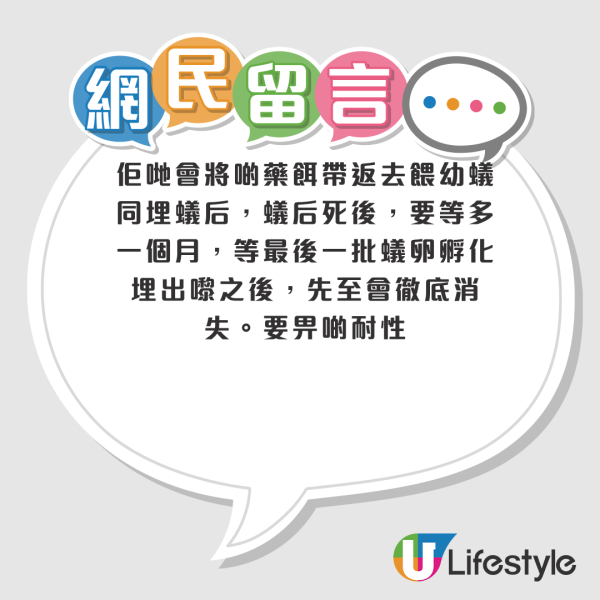 滅蟻|放蟻藥近一周反而越來越多蟻?苦主崩潰求助 網民揭滅蟻盲點:OOO先斷尾!附4大熱門滅蟻藥評測