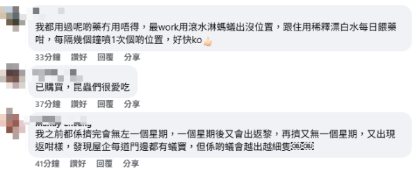 滅蟻｜放蟻藥近一周反而越來越多蟻？苦主崩潰求助 網民揭滅蟻盲點：ＯＯＯ先斷尾！附4大熱門滅蟻藥評測