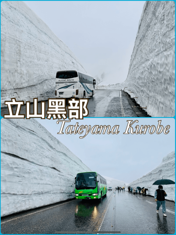 【暑假親子遊2026】名古屋親子遊8大景點推介 立山黑部開山/水族館/吉卜力公園
