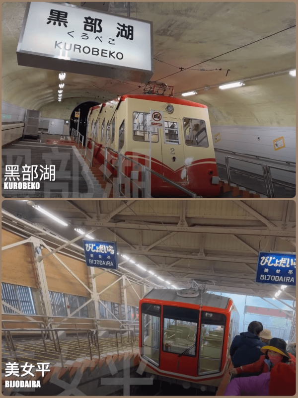 【暑假親子遊2026】名古屋親子遊8大景點推介 立山黑部開山/水族館/吉卜力公園