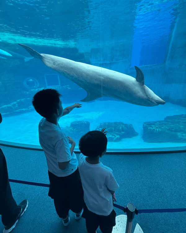 【暑假親子遊2026】名古屋親子遊8大景點推介 立山黑部開山/水族館/吉卜力公園