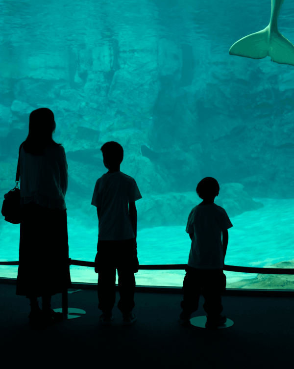 【暑假親子遊2026】名古屋親子遊8大景點推介 立山黑部開山/水族館/吉卜力公園