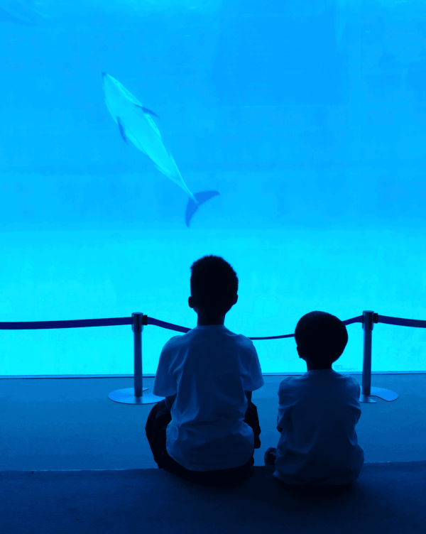 【暑假親子遊2026】名古屋親子遊8大景點推介 立山黑部開山/水族館/吉卜力公園
