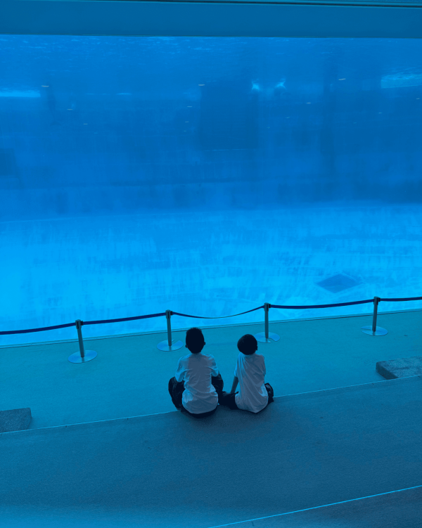【暑假親子遊2026】名古屋親子遊8大景點推介 立山黑部開山/水族館/吉卜力公園