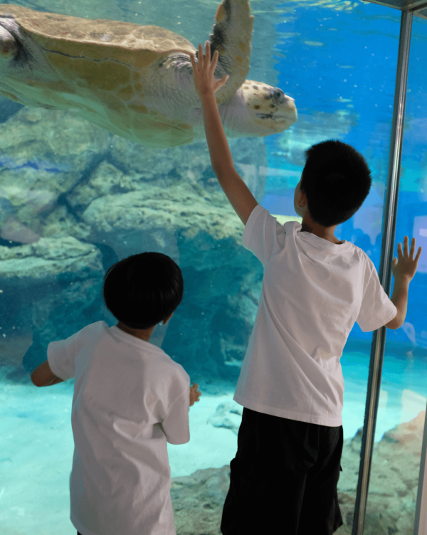 【暑假親子遊2026】名古屋親子遊8大景點推介 立山黑部開山/水族館/吉卜力公園