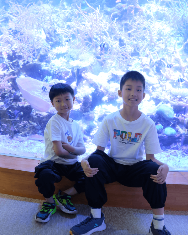 【暑假親子遊2026】名古屋親子遊8大景點推介 立山黑部開山/水族館/吉卜力公園