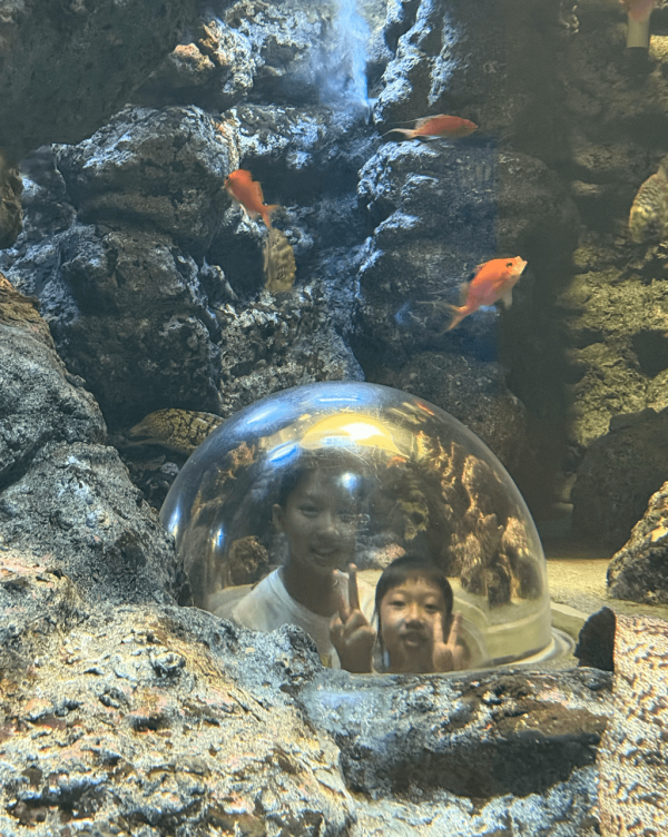 【暑假親子遊2026】名古屋親子遊8大景點推介 立山黑部開山/水族館/吉卜力公園