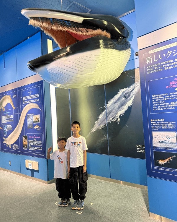 【暑假親子遊2026】名古屋親子遊8大景點推介 立山黑部開山/水族館/吉卜力公園