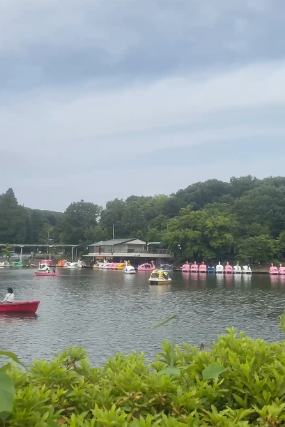 【暑假親子遊2026】名古屋親子遊8大景點推介 立山黑部開山/水族館/吉卜力公園