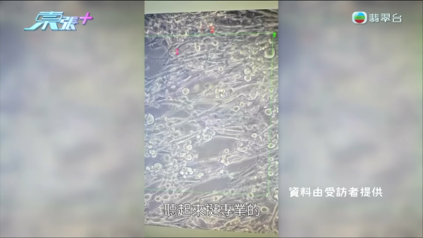 六旬漢誤信網上「靚女假中醫」 隔空憑相睇症開特製四大補藥 治耳鳴不成反被騙30萬