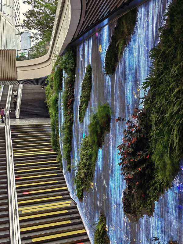 【深圳商場2026】福田口岸沿線必逛8間大型商場推介 必去皇庭廣場/Coco Park/深業上城