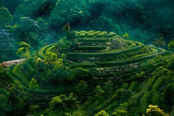 圖片來源:wingontravel 汕尾星級酒店旅行團精選3大推介!9起入住國際品牌酒店、包海鮮自助餐 週末快閃必去!