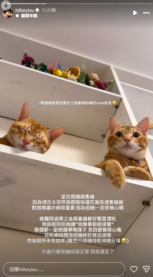 35歲女藝人驚傳突然受傷緊急送院！發生恐怖意外頭部爆缸：倒水式咁流出嚟