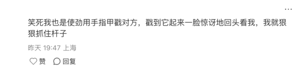 圖片：小紅書＠香港工作那些事兒