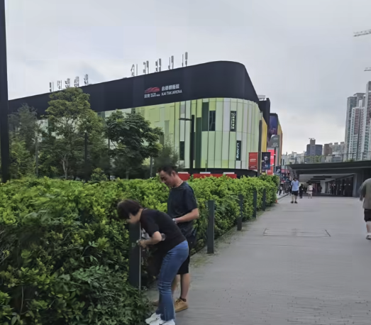 啟德街坊直擊黑衣男女自備大袋路邊摘植物（圖片來源：Facebook@啟德居民自由講～）