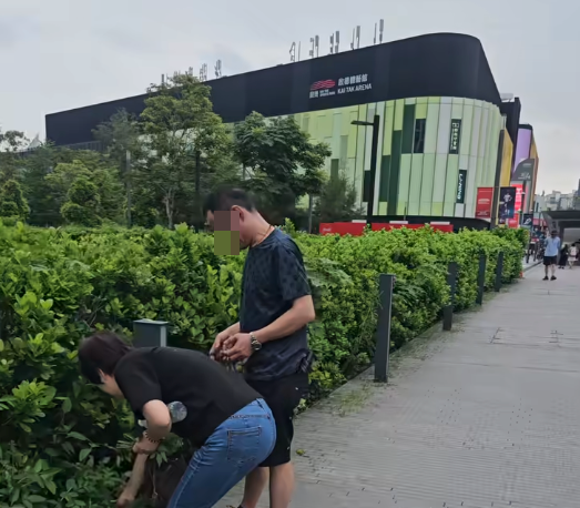 啟德街坊直擊黑衣男女自備大袋路邊摘植物（圖片來源：Facebook@啟德居民自由講～）