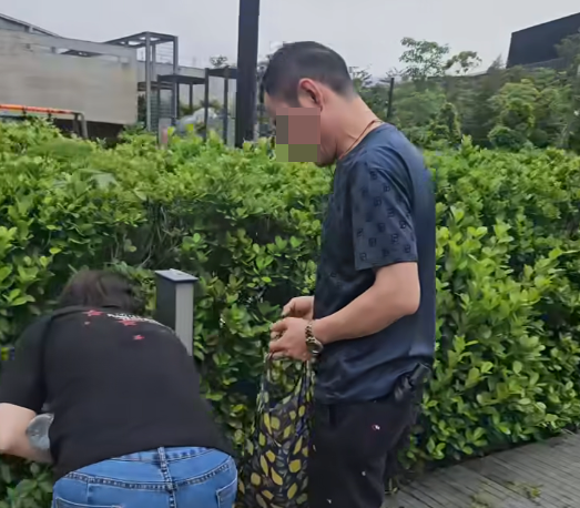 啟德街坊直擊黑衣男女自備大袋路邊摘植物（圖片來源：Facebook@啟德居民自由講～）