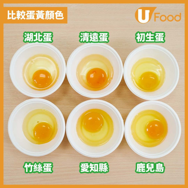 買雞蛋｜啡蛋白蛋邊款好？蛋黃越黃越有營養？一文破解揀雞蛋5大迷思 烚蛋變灰綠色係正常！