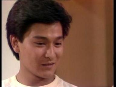 獵鷹重播線上看|1-20集大結局TVB全劇透!陳敏兒遺作回顧 劉德華首擔正經典神劇