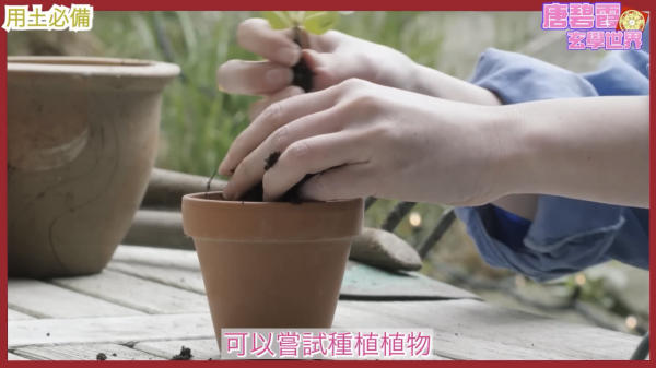 唐碧霞教用五行改運｜屬「土」開運方法