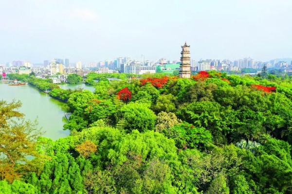 惠州星級食住旅行團精選5大推介！無購物純玩大享頂級海鮮、地道乳鴿宴 