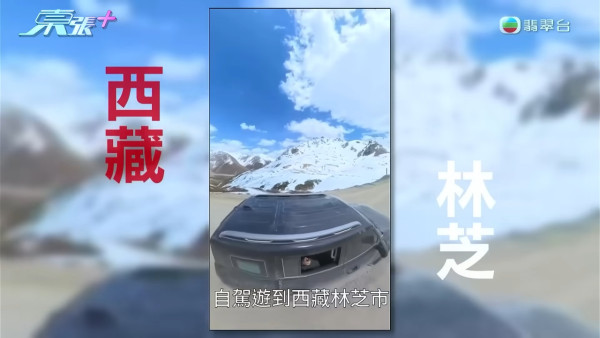 圖片及資料來源:TVB《東張西望》 圖片及資料來源:TVB《東張西望》