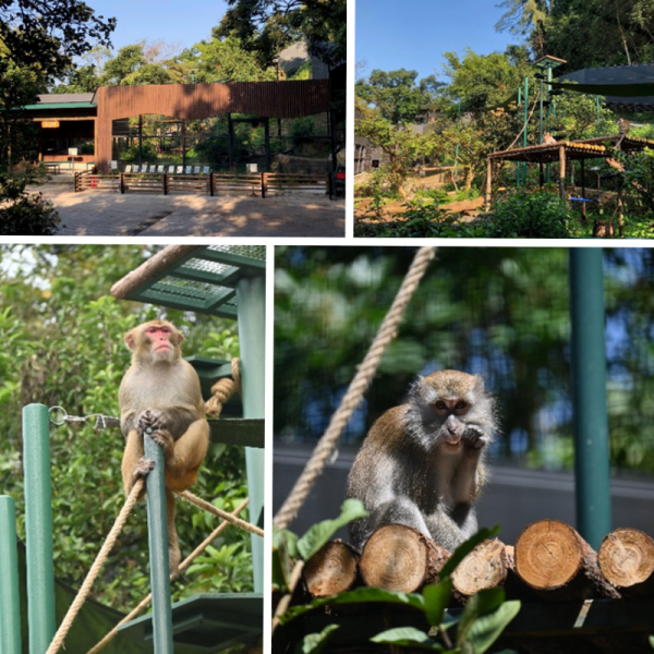 嘉道理農場暨植物園（來源：官網）