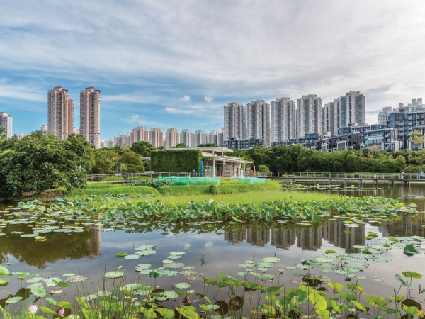香港濕地公園（來源：旅發局）
