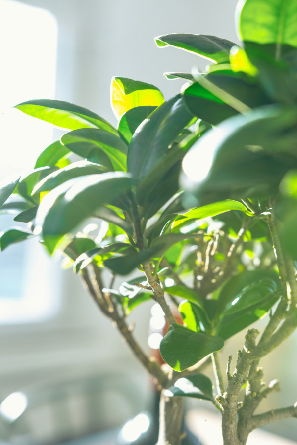 防曬迷思（來源：Unsplash）