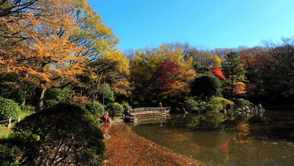 有栖川宮紀念公園(圖片來源:VISIT MINATO CITY) 東京深度遊|在地人私藏冷門景點7大精選推介!復古老街、清澄白河街區感受慢活日常