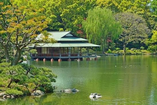 清澄白河(圖片來源:日本国家旅游局) 東京深度遊|在地人私藏冷門景點7大精選推介!復古老街、清澄白河街區感受慢活日常