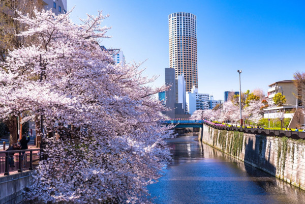 中目黑(圖片來源:東急電鉄) 東京深度遊|在地人私藏冷門景點7大精選推介!復古老街、清澄白河街區感受慢活日常